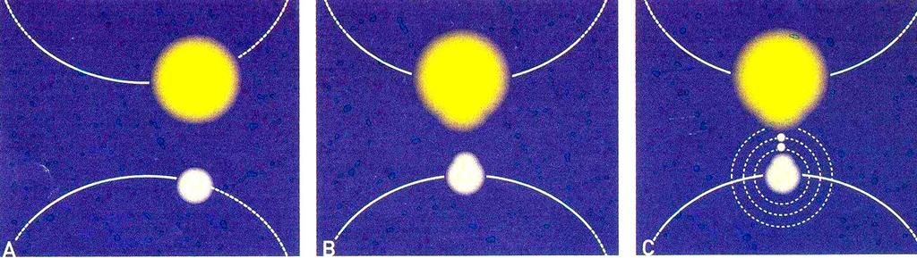 Hipótese da aproximação entre duas estrelas Com base nas ideias de Chamberlain, a formação do sistema solar teria resultado da aproximação