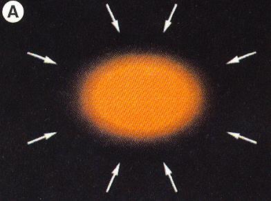 Hipótese Nebular Reformulada Esta hipótese considera que o sistema solar se formou a partir de uma nuvem de gás e poeira em rotação há