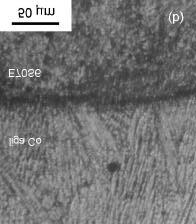 (controle de sulfetos). Distribuições de partículas grosseiras semelhantes não foram observadas nas demais camadas de revestimento, onde as inclusões mostraram ser menores (1 a 5µm) e mais dispersas.