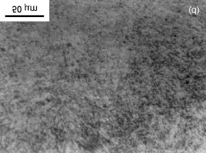 A aplicação de técnicas adequadas (microscopia eletrônica) será feita futuramente com o objetivo de caracterizar a presença de tais partículas mas estudos realizados em ligas contendo cromo e maior