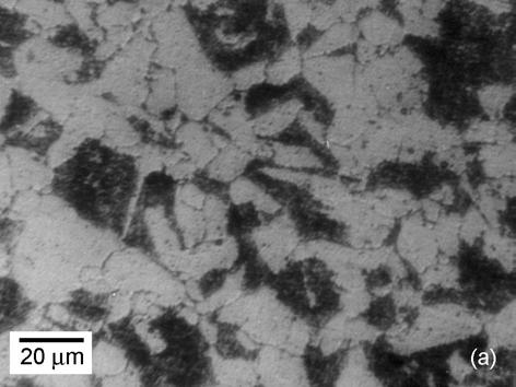 Figura 3: Microestruturas típicas observadas por microscopia