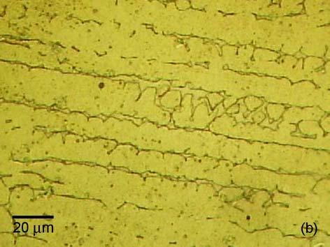 Figura 5: Microestrutura dendrítica das camadas de aço