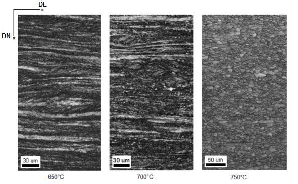 90 Figura 5. 53: Imagem de qualidade das amostras LQR para um tempo de 900 s de encharque. 5.7.5 Amostras recozidas a 800 C A figura 5.