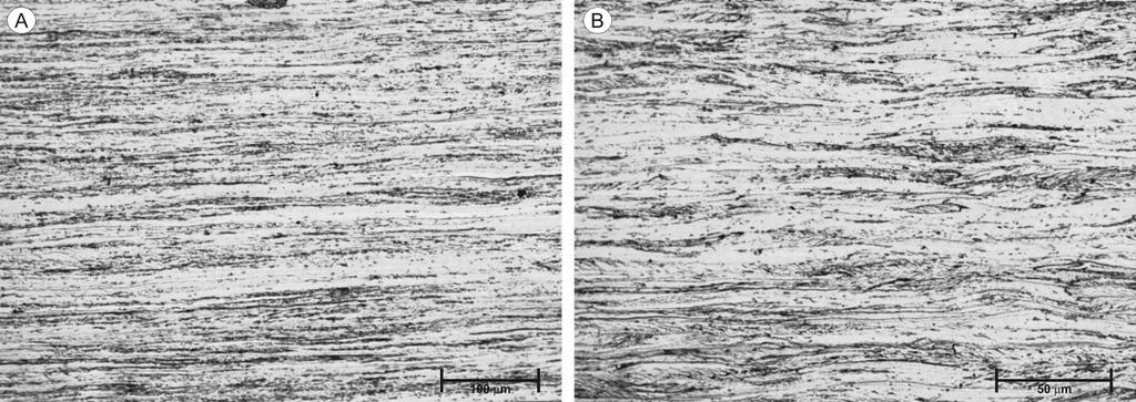 33 Figura 5. 2: (a) Micrografias das amostras encruadas com redução de 80%. (a) LQNR e (b) LQR. Ataque com reativo de Vilella. 5.1.3 Amostras laminadas a quente e não recozidas (LQNR) A figura 5.