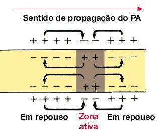 O gráfico da curva intensidade-duração descreve esta relação. Isto quer dizer que além da intensidade, a duração do estímulo aplicado também é igualmente importante para a manifestação do PA.