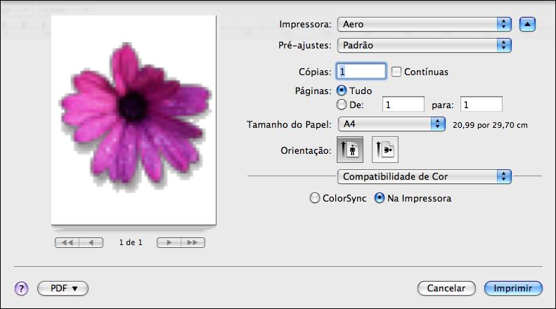 OPÇÕES DE IMPRESSÃO COLORWISE 29 Mac OS X v10.5, v10.6, v10.7 e v10.8: Clique em Visualização, escolha Compatibilidade de cor na lista suspensa e clique em Na impressora.