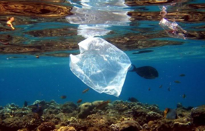 I. Introdução A poluição oceânica é a poluição das águas dos oceanos, ela