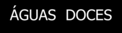 QUALIDADE (Legislação Federal) ÁGUAS DOCES CLASSE DO RIO 1 2 3 4 Resolução CONAMA n 357/05 2,4,6-Triclofenol (mg/l) Artigo 14 Artigo 15 Artigo 16 Artigo 17 0,01 0,01 2,4(µg/L)(1) 2,4(µg/L)(1) 0,01 -