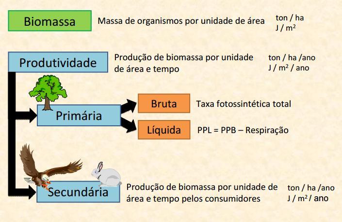 Produtividade: