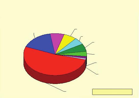 Distribuição das causas das afecções (CHSP, Janeiro/1997 a Março/24) (17%) A esclarecer (7%) (7%) Outras (5%) % 6, 5, 4, 3, 2, 1,, Causas Erro laboratorial (6%) Hiperesplenismo (6%) Percentual 4, 35,