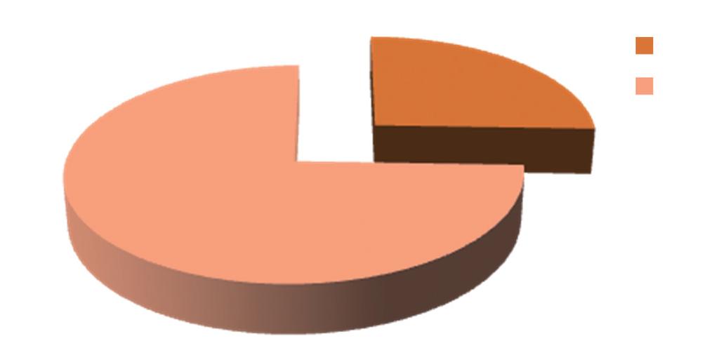 13 35 4 2 18 10 9 12 Primeiros 6 meses de vida Final do 1º de vida 2º ano de vida 3º ano de vida respondeu Figura 7 Idade na qual a criança pode receber a terapia da fala para perda auditiva (n = 47).