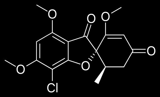 3. Antifúngicos que interferem na mitose Griseofulvina Isolada a partir do Penicilium griseofulvum Uso oral para tratamento de dermatofitoses Atividade