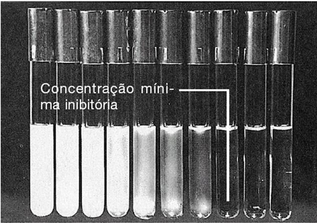 Para fins de padronização, o método aceito internacionalmente e preconizado pelo