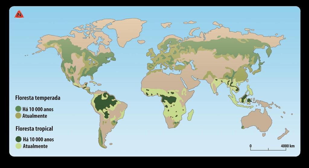 A desflorestação diminui a quantidade de O 2 e aumenta a de CO 2, diminui a precipitação e a capacidade de