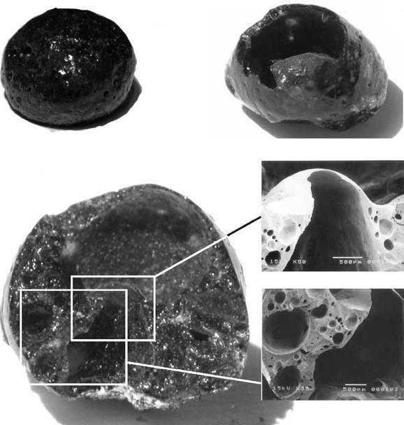 Estado da arte Figura 2 4 - Estrutura dos agregados expandidos de origem vulcânica (de Gennaro et al.