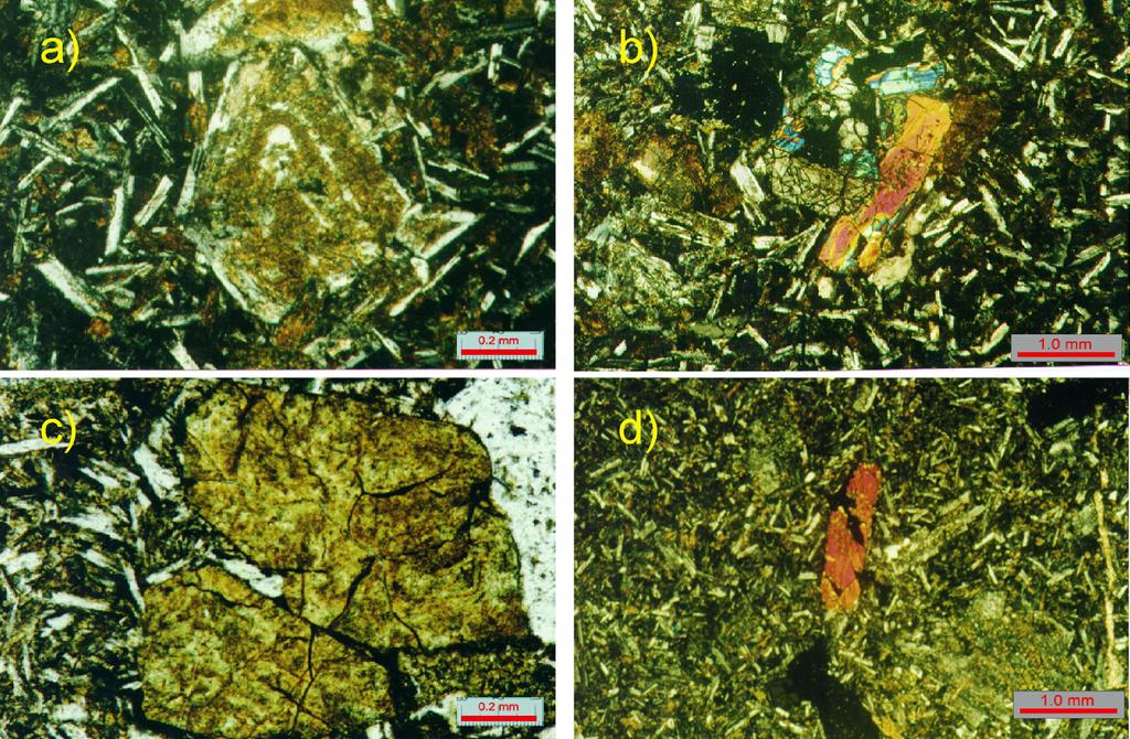 Janaína Teixeira Lobo et al. Figura 2 Fotomicrografias dos basaltos do Cretáceo Inferior da bacia de Campos.