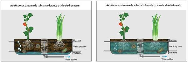 4 controle do nível de água na caixa durante o funcionamento do biofiltro.