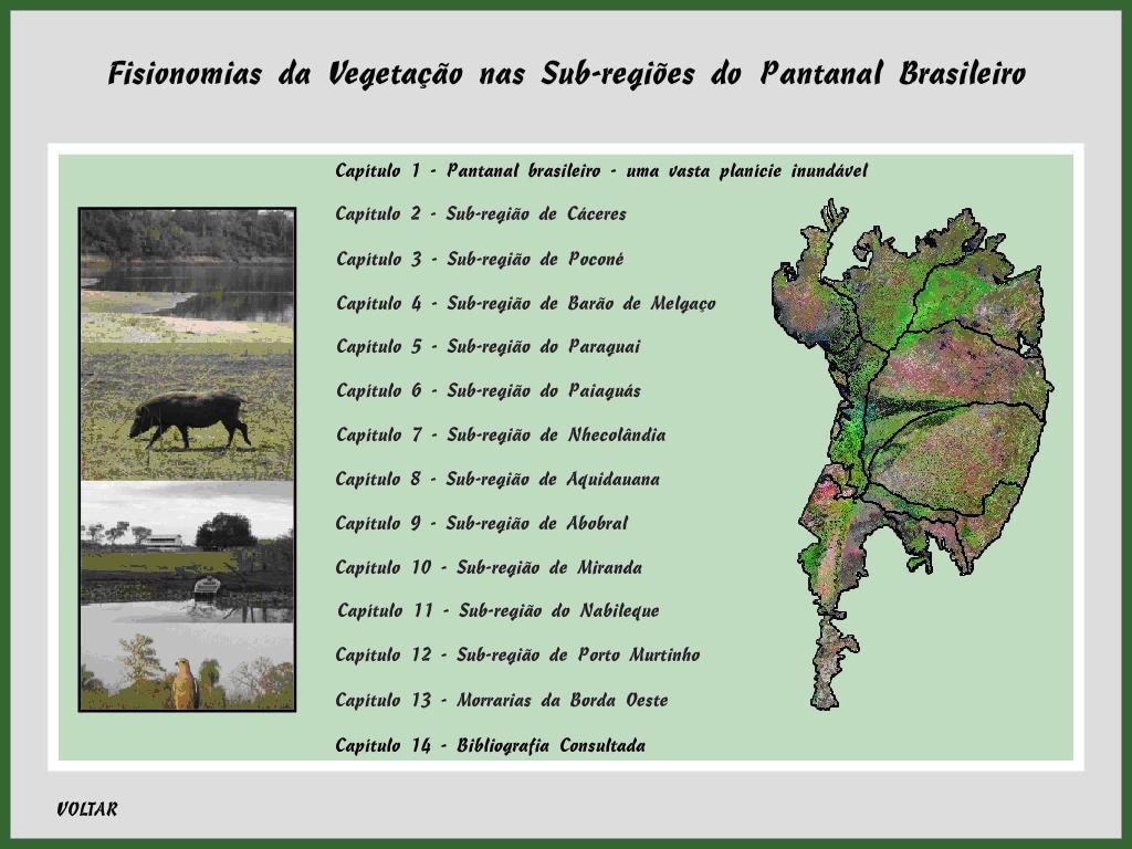 caracterização das sub-regiões, a localização do município de Corumbá no Pantanal e nas subregiões, a ramificação inversa dos rios, tipos de solo e vegetação, base econômica e conservação do bioma