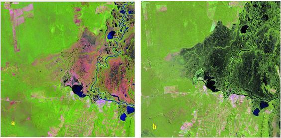 Figura 6. Corumbá-Landsat 11/06/1986. Área Urbana (seta vermelha), vegetação seca (seta azul) e vegetação (seta amarela). Figura 7.