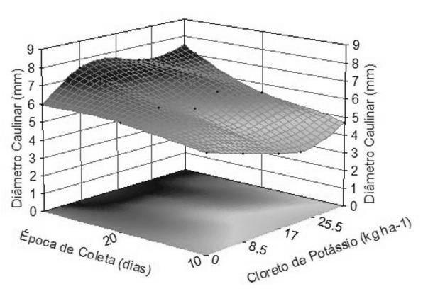 Tabela 1. Resumo das análises de variância para a altura caulinar (AC) e diâmetro caulinar (DC) em função das doses de adubação potássica e das épocas de coleta.