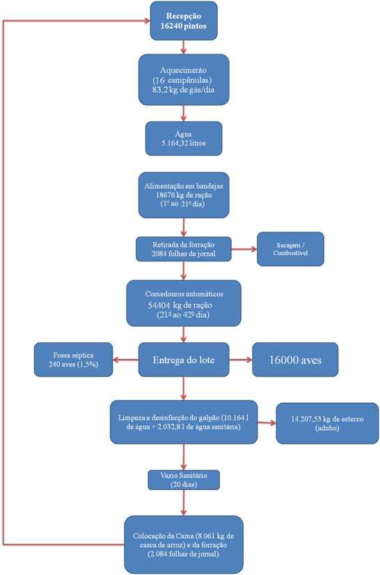 Figura 1 Fluxograma e balanço de massa do processo produtivo Os cenários estudados (Tabela 1) resultaram nas seguintes combinações: pessimista - frango a R$1,45 kg -1 e ração por R$0,80 kg -1 ;