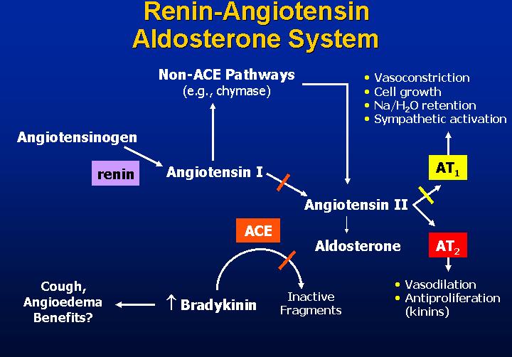 Bloqueadores do Receptor AT1 Mecanismo Atagonizam a ação da