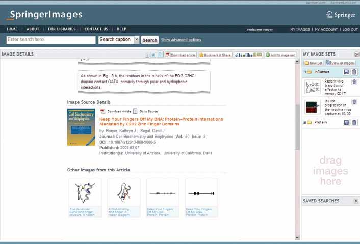 pesquisa no SpringerImages estão em dia, pois as imagens são atualizadas automaticamente à medida em que o conteúdo é publicado 7 Use imagens para atualizar rapidamente palestras ou apresentações 7