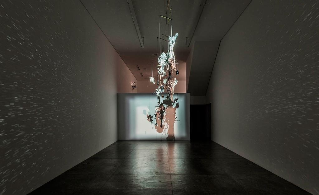Anatomia da Luz, 2014 vista da exposição