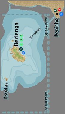 Berlenga Grande e recifes adjacentes Estelas Farilhões e Forcadas Estatuto de