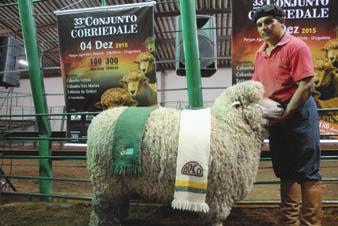 O recinto de remates recebeu o maior público da temporada de vendas de ovinos da região. Aproximadamente 450 pessoas lotaram as arquibancadas da Pastoril.