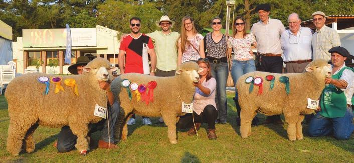 grande público, presente em volta da pista Grande Campeã, Campeã Ovino Adulto, Melhor Velo, Melhor Conformação e Melhor Casal JEP 456, Cr. e Exp. Luiz Claudio L.