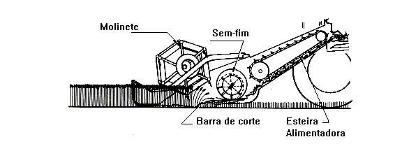 Corte e