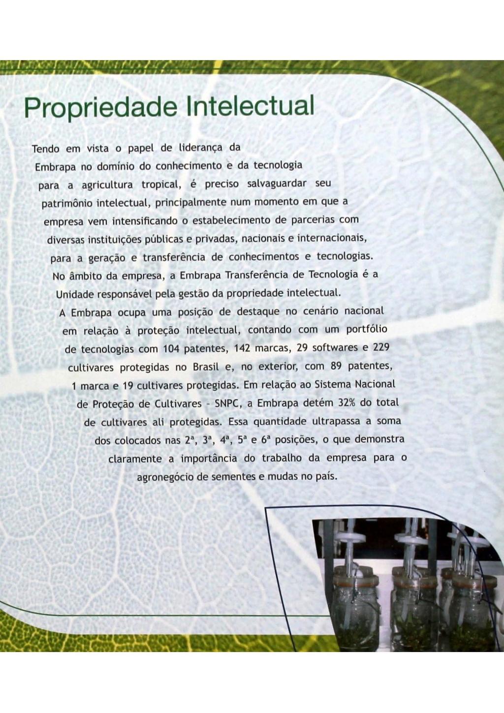 Propriedade Intelectual Tendo em vista o papel de liderança da Embrapa no domínio do conhecimento e da tecnologia para a agricultura tropical, é preciso salvaguardar seu patrimônio intelectual,