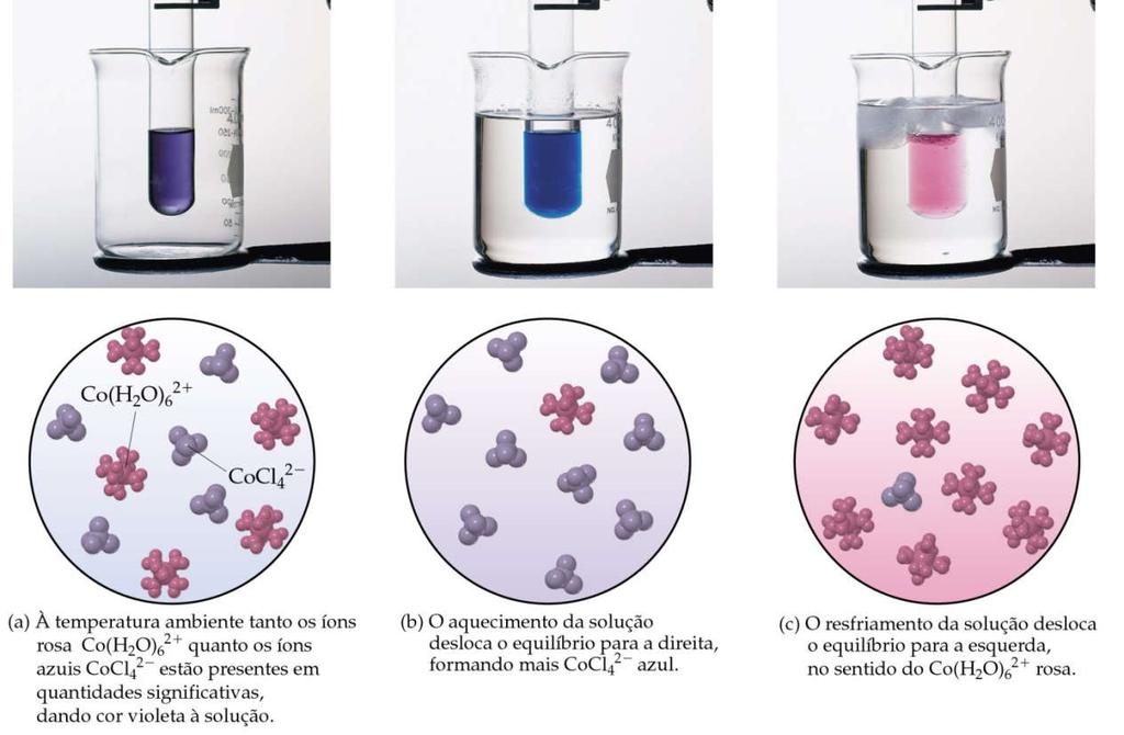 Equilíbrio Químico O princípio de Le Chatelier Rosa claro Azul Para a