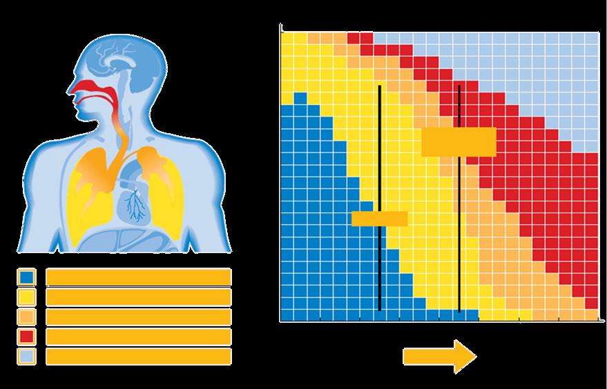 Probabilidade Substâncias perigosas Como as partículas entram no corpo?