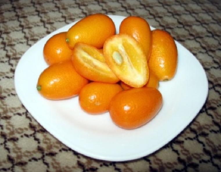 Kumquat - Fruto de origem nipónica, com sabor agridoce.