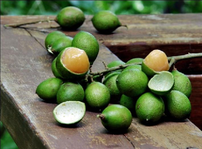 Fruta doce e macia, consumida normalmente ao natural ou em sumos e saladas.