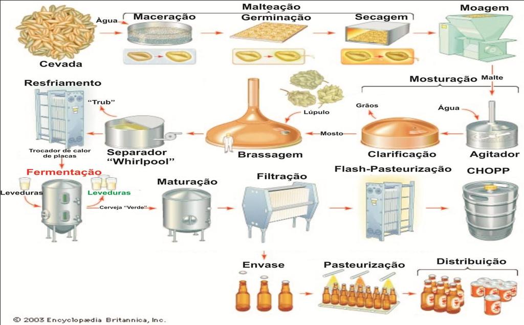 onde a temperatura é elevada à 6ºC e mantida nessa temperatura até garantir a morte dos microrganismos deteriorantes. Em seguida, é resfriada rapidamente (BAMFORTH, 23).