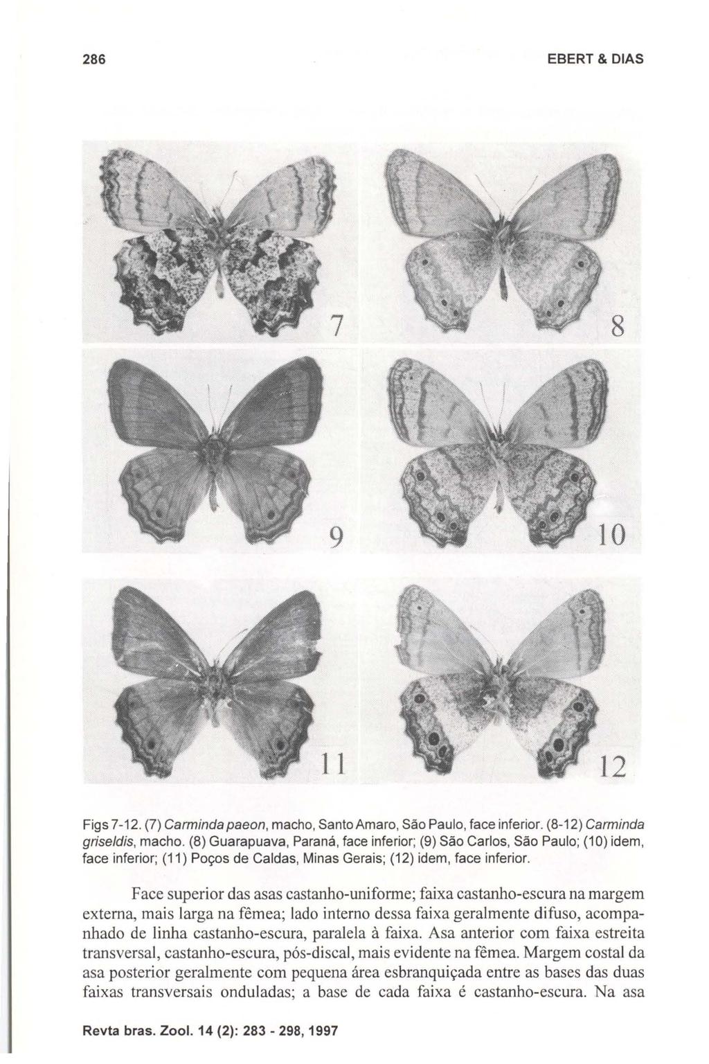 286 EBERT & DIAS 9 Figs 7-12. (7) Carminda paeon, macho, Santo Amaro, São Paulo, face inferior. (8-12) Carminda griseldis, macho.