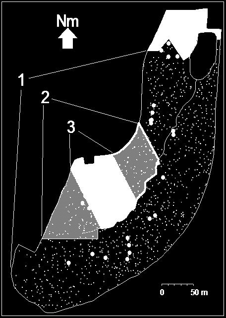 Distribuição espacial de A. cunninghamiana em 1999: Nm Reserve limits stream 0 50 m Black = A. cunninghamiana DBH > 9.