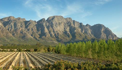 GRUPO I Observa atentamente a fotografia de uma paisagem na África do Sul. Figura 1- Vinhas em Stellenbosch, na África do Sul Refere a alínea que corresponde à resposta correta. 1. O único elemento humano da paisagem é.