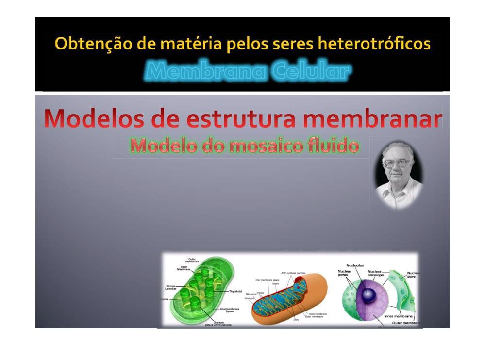 Modelo proposto por S. J. Singer e G. L. Nicholson na década de setenta do século XX, sendo o modelo actualmente aceite, para a ultraestrutura biológica das membranas.