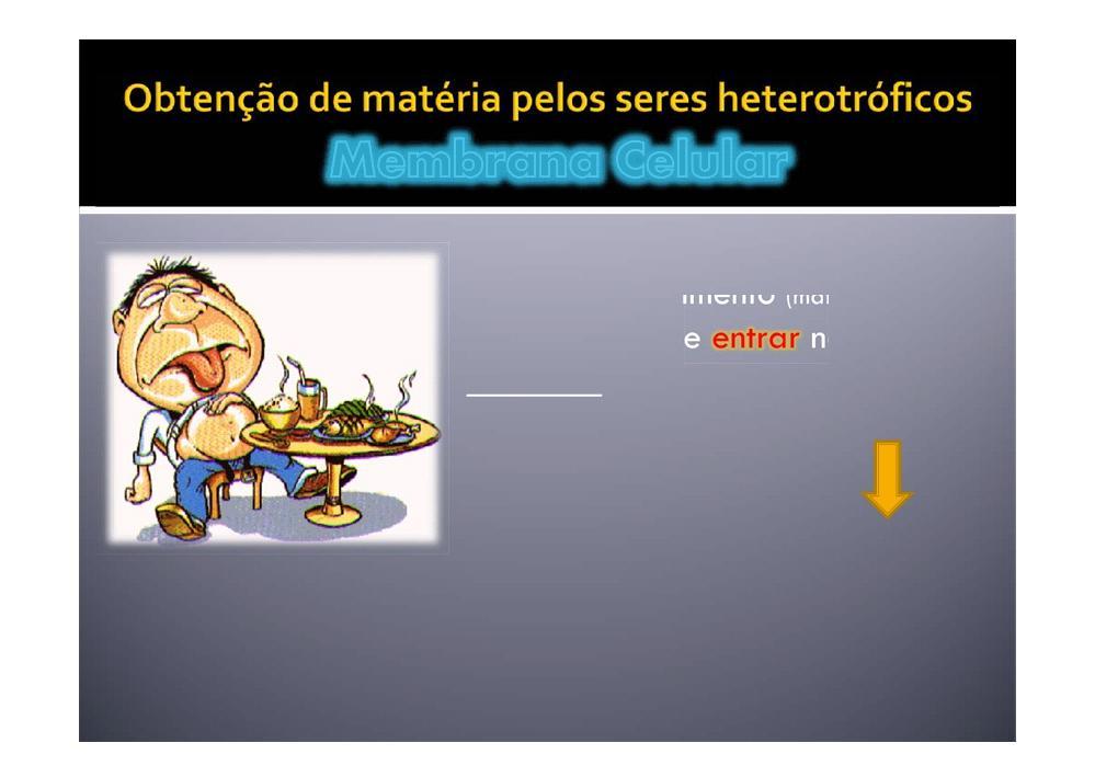 Todos os nutrientes resultantes da digestão do alimento (matéria orgânica) terão agora d as células: absorção (para servirem como fonte de energia, participarem em reacções