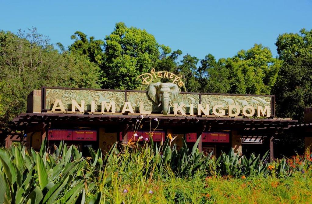 ANIMAL KINGDOM Bichos que as crianças amam (como girafas e zebras) e que não existem mais (como os dinossauros) são as grandes estrelas desse parque temático, que celebra a natureza.