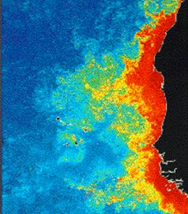 upwelling result in high phytoplankton biomass and