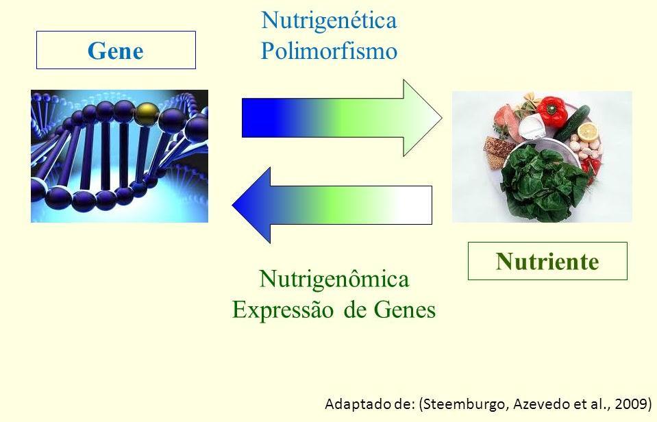 Qual a diferença entre nutrigenômica e nutrigenética?