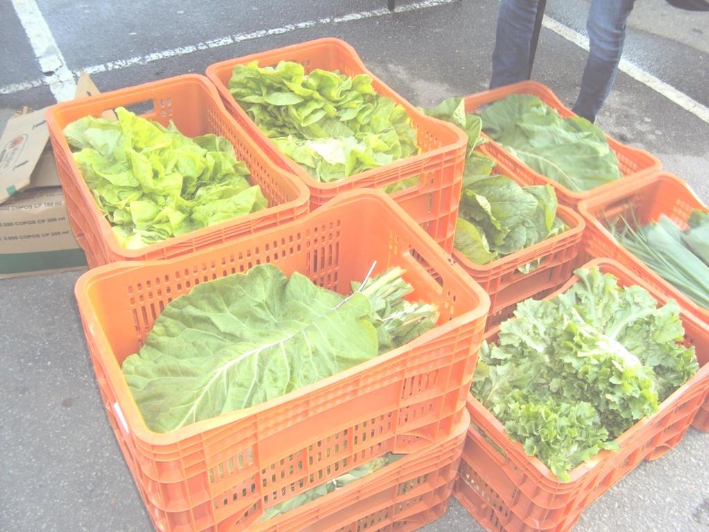 TÍQUETE FEIRA EM CACHOEIRO DE ITAPEMIRIM