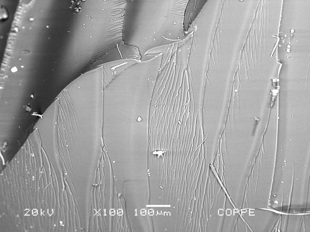 (a) (b) FIG. 7.80: Micrografia obtida por MEV da resina epóxi após o impacto balístico. (a) aumento de 100x e (b) aumento de 400x. Adaptado de SILVA, 2014.