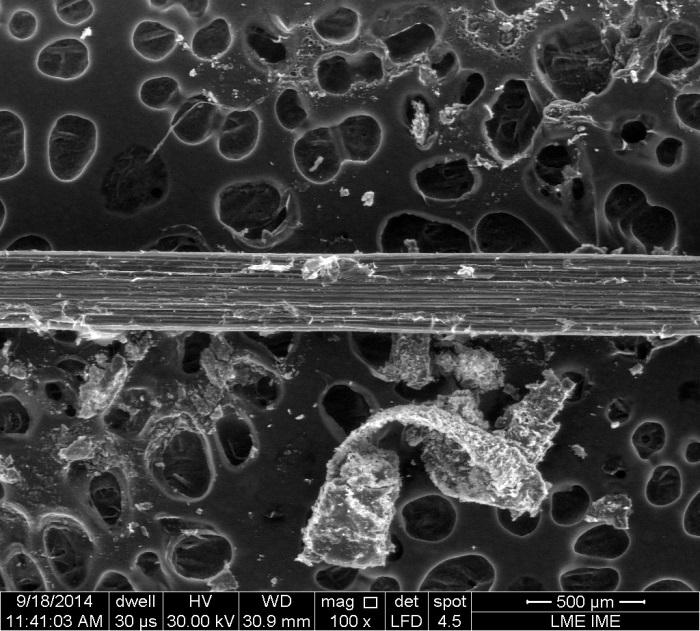 (a) (b) FIG. 7.9: Micrografias obtidas por MEV da fibra de bagaço de cana de açúcar com diâmetro entre 200 e 400 µm. (a) aumento 100x.