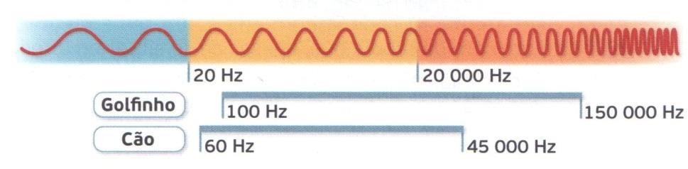 Caixa do tímpano e ossículos. 27. Considera o seguinte espetro sonoro e a informação sobre o intervalo de sons audíveis para dois animais. 27.1.